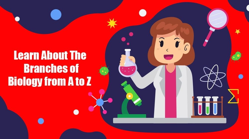 Science Classes in USA